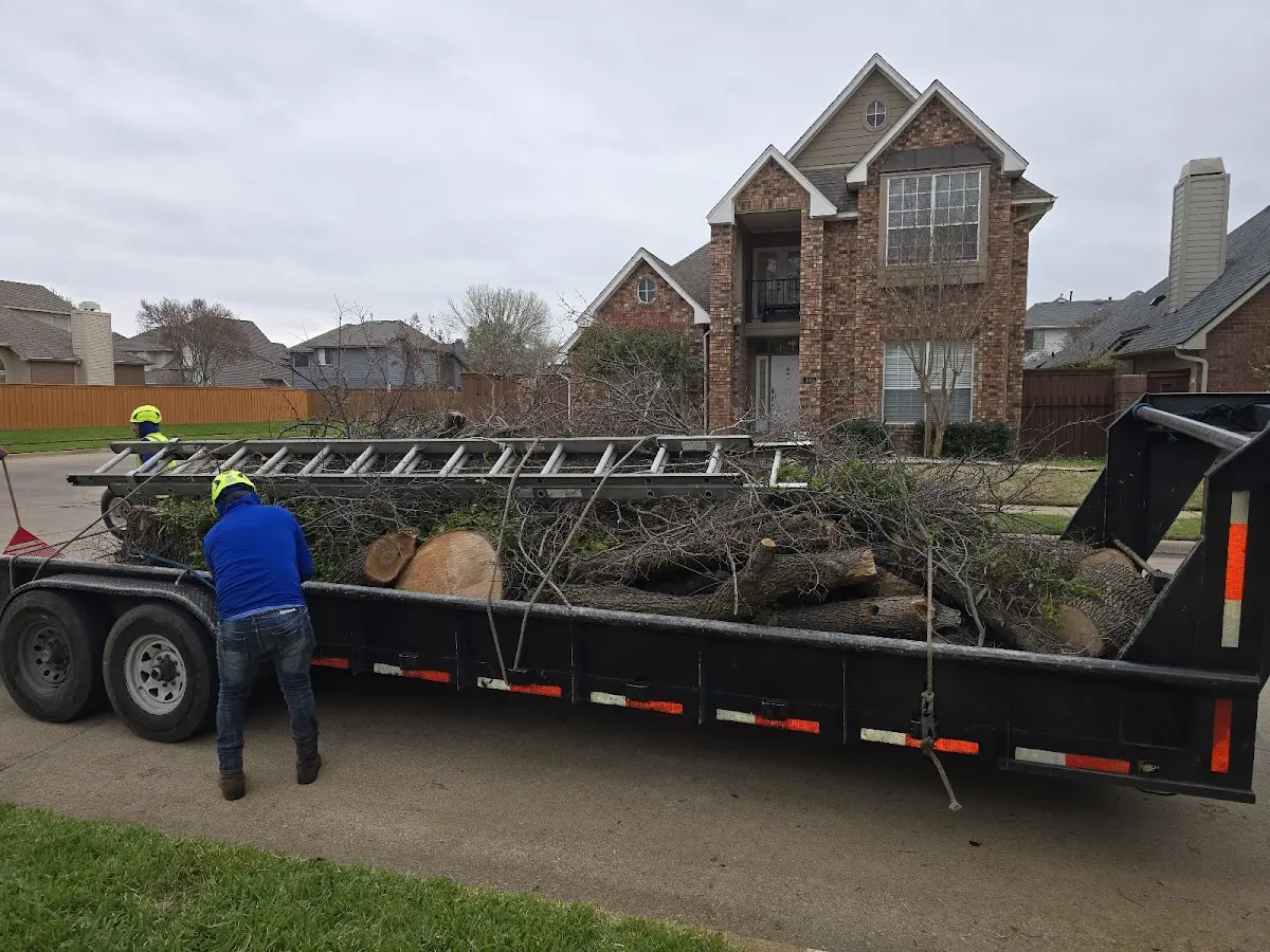 Expert Tree Fertilization with proper safety equipment in Ventress